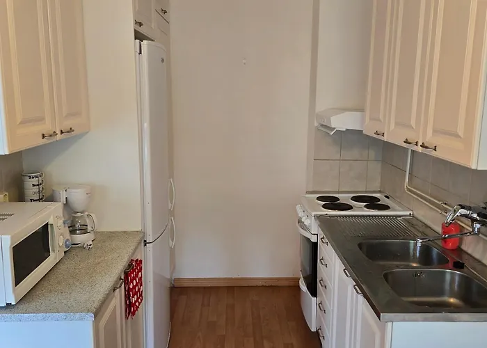 Kodikas Yksioe Heinolan Keskustassa ヘイノラ