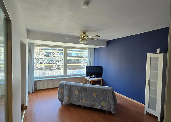 Kodikas Yksioe Heinolan Keskustassa *